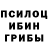 Псилоцибиновые грибы MAGIC MUSHROOMS Alex Bishuk