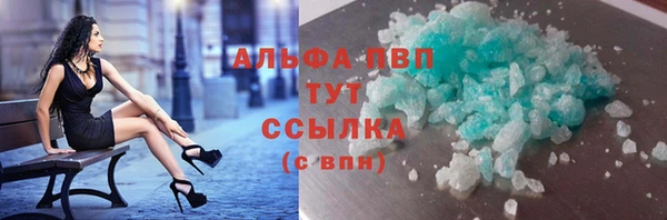 прущие грибы Корсаков
