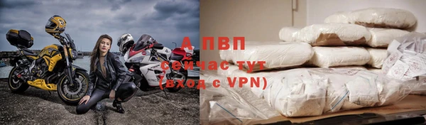 прущие грибы Корсаков