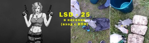 прущие грибы Корсаков