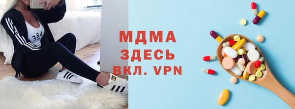 прущие грибы Корсаков