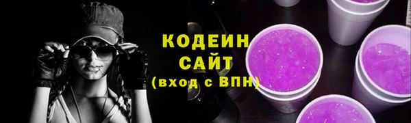 прущие грибы Корсаков