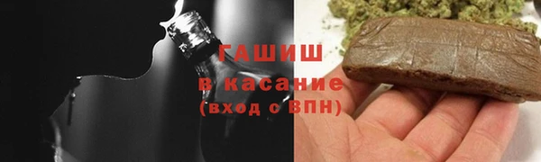прущие грибы Корсаков