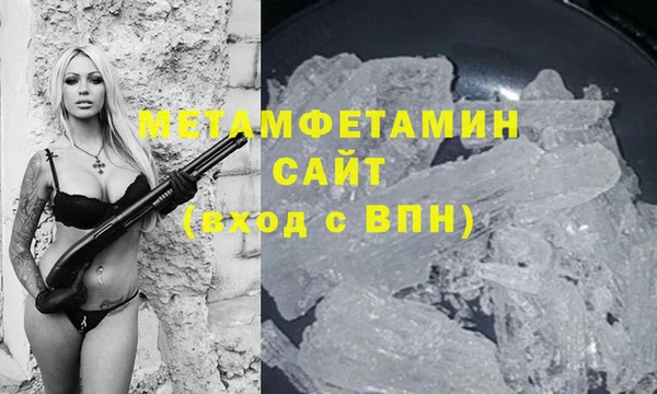 прущие грибы Корсаков